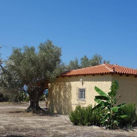 House By The Sea At Skaloma, Loutraki Villa Vouliagmeni Sø Eksteriør billede