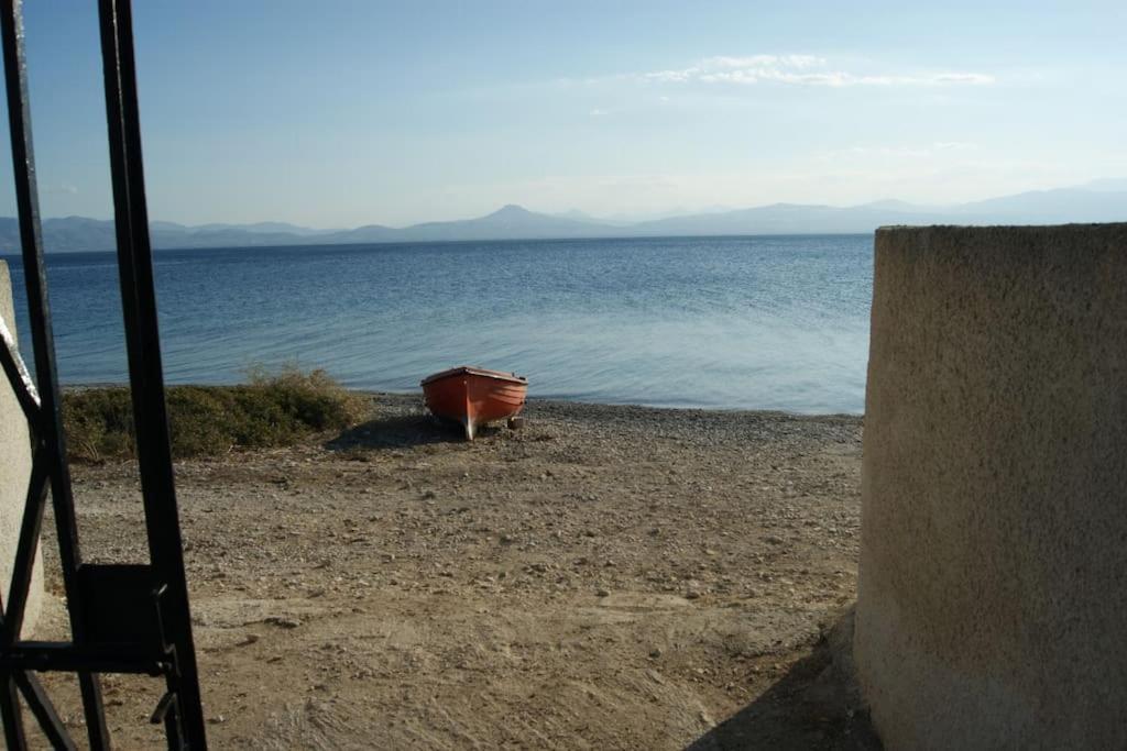 House By The Sea At Skaloma, Loutraki Villa Vouliagmeni Sø Eksteriør billede