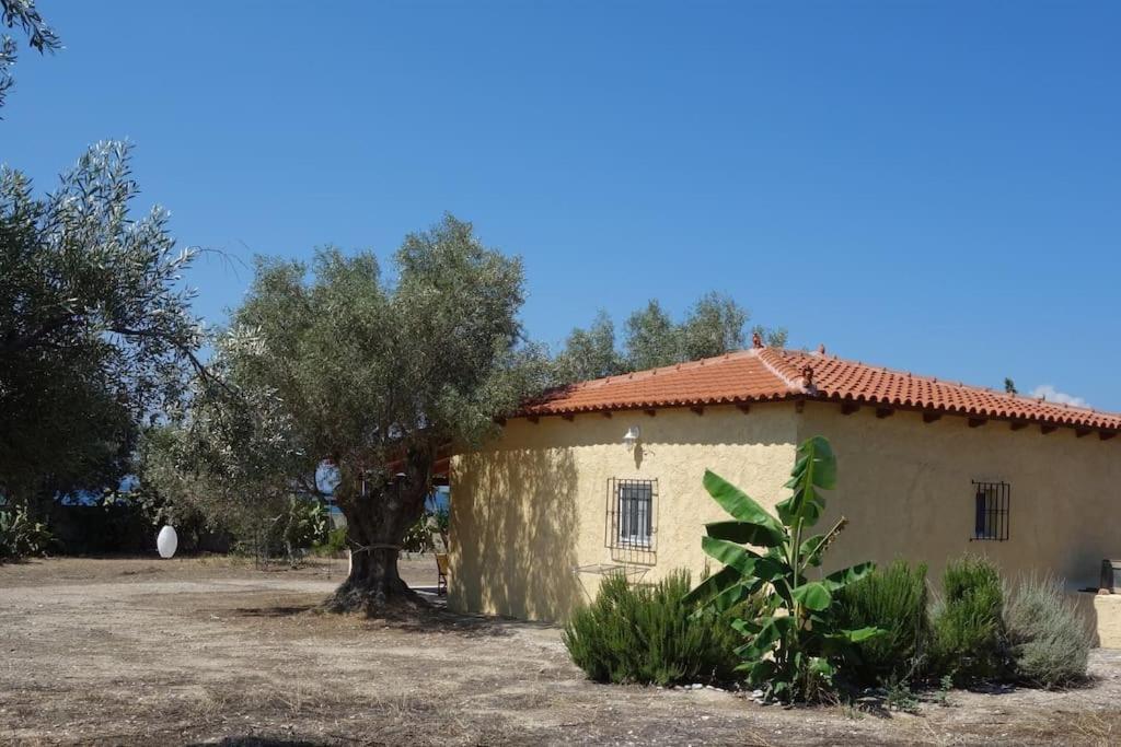 House By The Sea At Skaloma, Loutraki Villa Vouliagmeni Sø Eksteriør billede